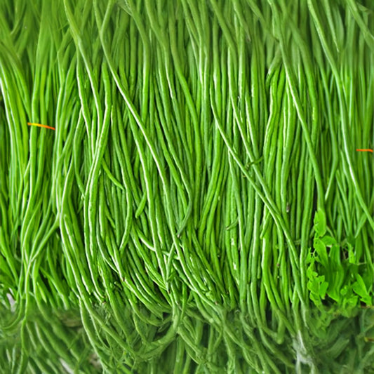 Yardlong Bean Seeds | Non-GMO Asparagus Bean, Snake Bean, Chinese Long Bean - High Yield, Easy to Grow