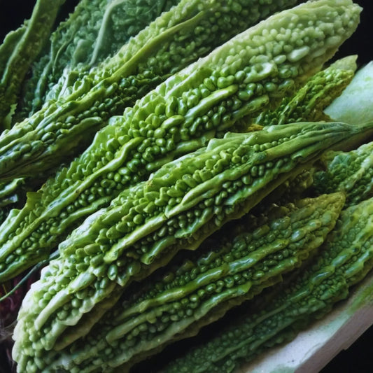 Bitter Gourd Seeds | Green Skin Bitter Melon Seeds | Vietnam Variety | Momordica charantia