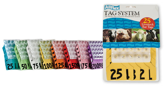 ALLFLEX: LARGE - FEM/SM - BLUE - 26-50