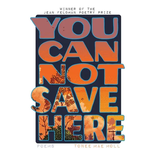 You Cannot Save Here