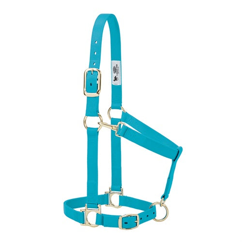 Basic Adjustable Chin and Throat Snap Halter- Average Turquoise