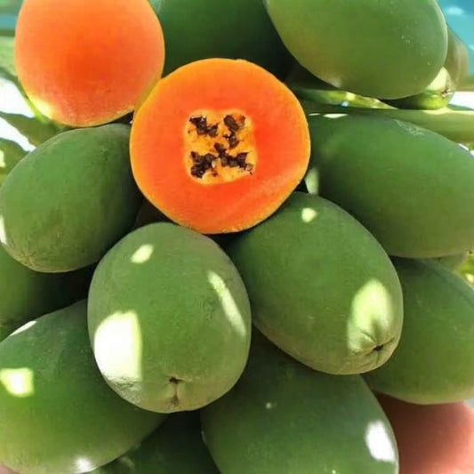 30 PCS Papaya Seeds E19, Dwarf Hovey Carica L., Rare Fruit Tree Seeds for Bonsai, Outdoor Gardening, Subtropical Perennial