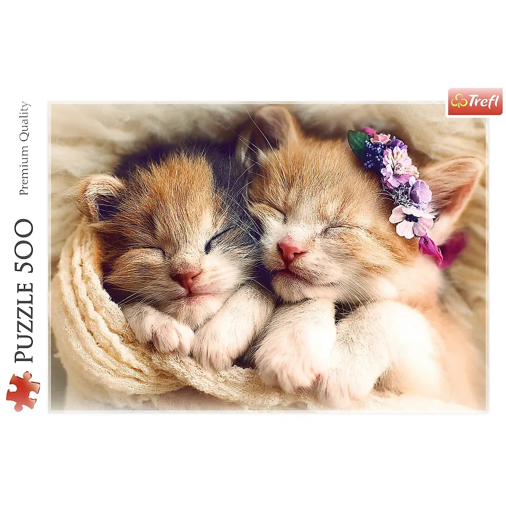 500 Piece Jigsaw Puzzles, Sleeping Kittens, Baby Animals, Pets, Cats, Adult Puzzles, Trefl 37271