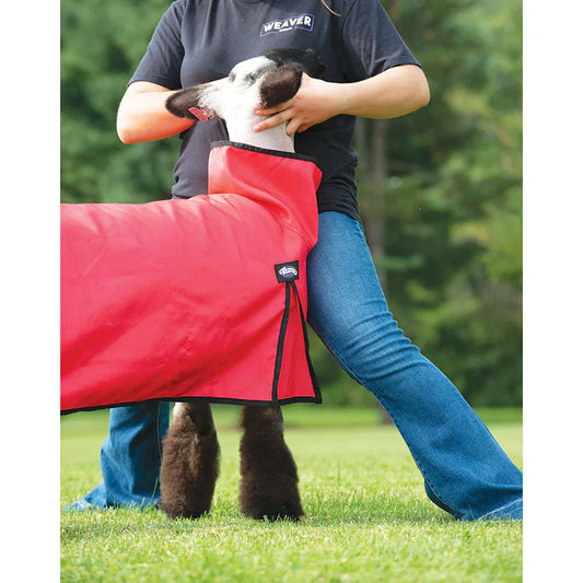Nylon Sheep Blanket, Mesh Butt - MEDIUM - Strawberry