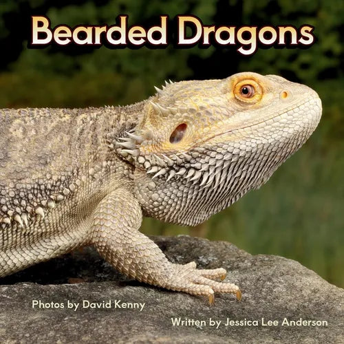 Bearded Dragons