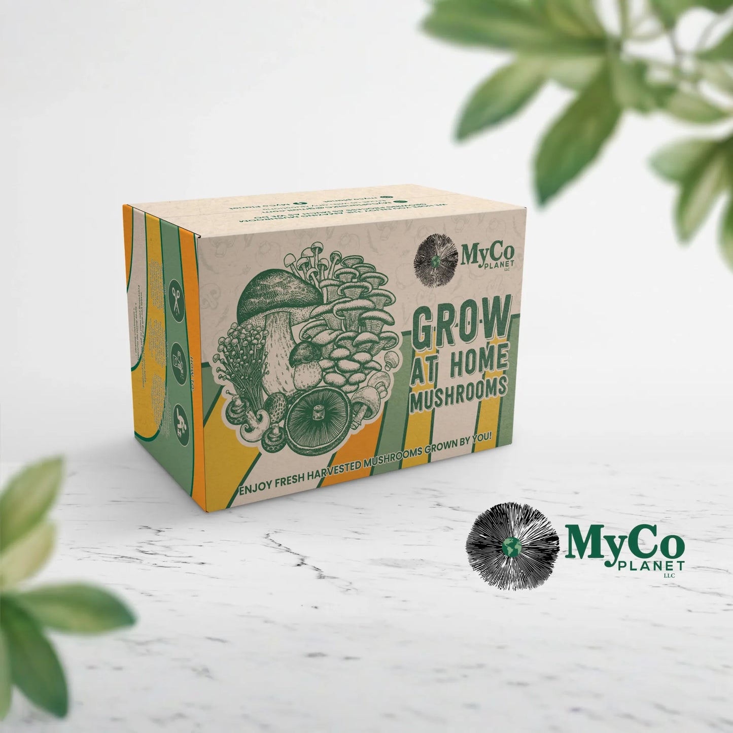 Organic Blue Oyster Grow Kit