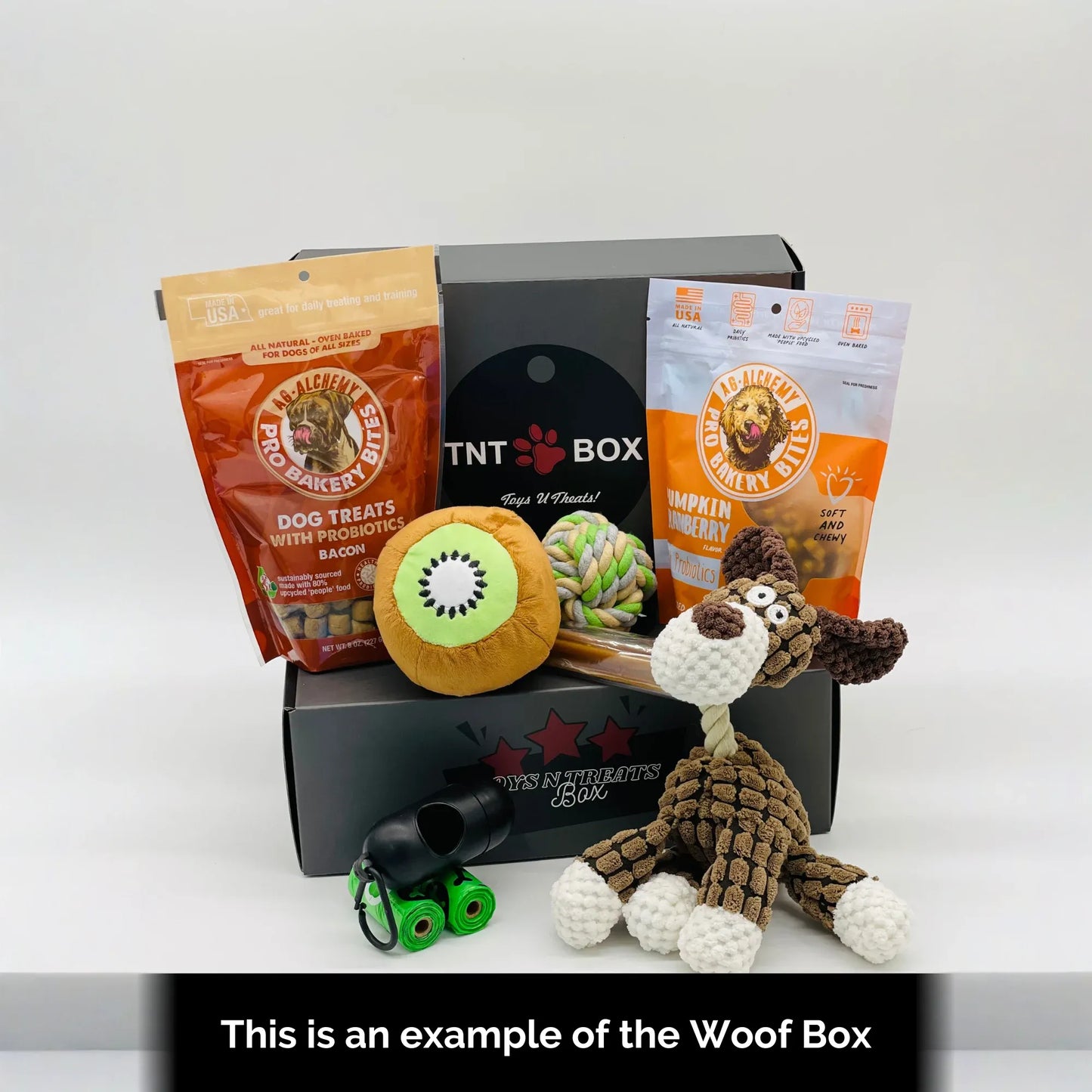 Toys N Treats Gift Boxes