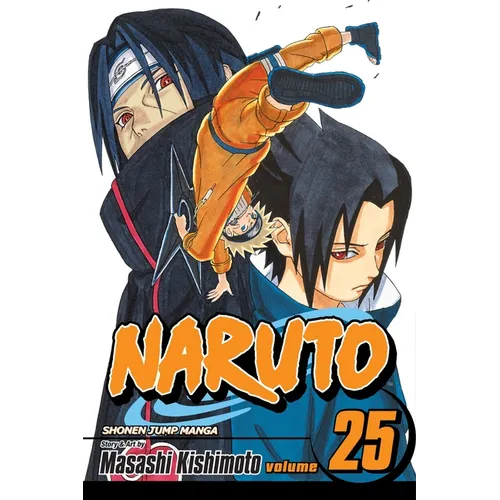 Naruto, Vol. 25: Brothers