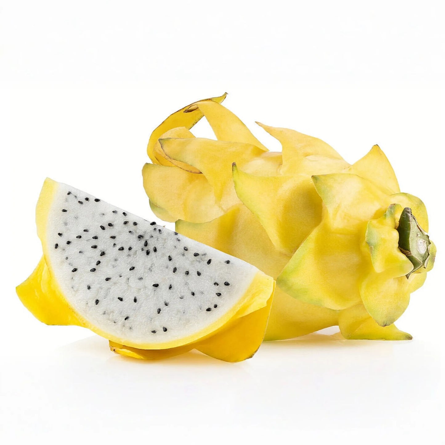 Yellow Sweet Dragon Fruit Seeds - 25 Seeds - Var. "PALORA" - Pitaya Selenicereus M. - Yellow Cactus Fruit Seeds