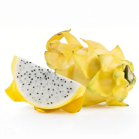 Yellow Sweet Dragon Fruit Seeds - 25 Seeds - Var. "PALORA" - Pitaya Selenicereus M. - Yellow Cactus Fruit Seeds