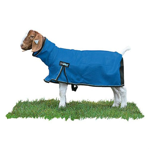 ProCool Goat Blanket with Reflective Piping Mesh Butt - SMALL- BLUE