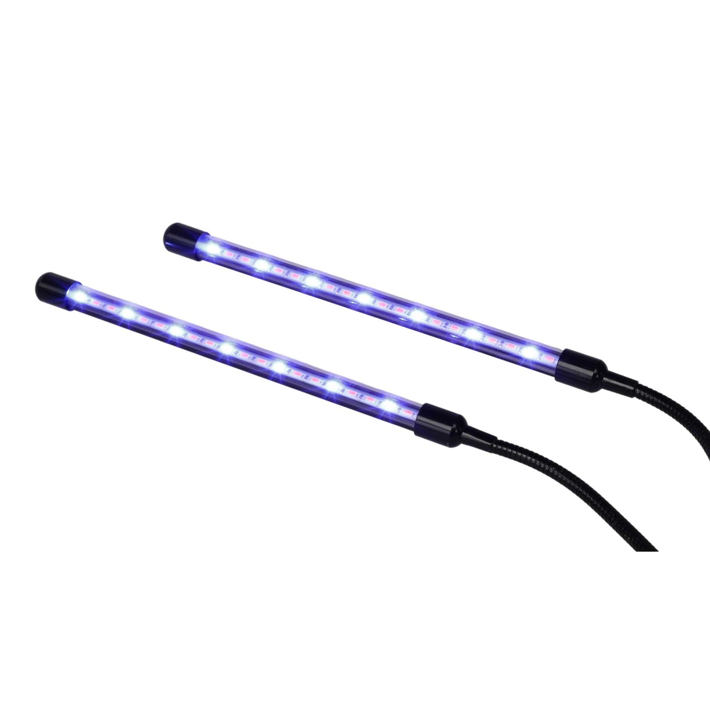 1010 Microgreens Kit