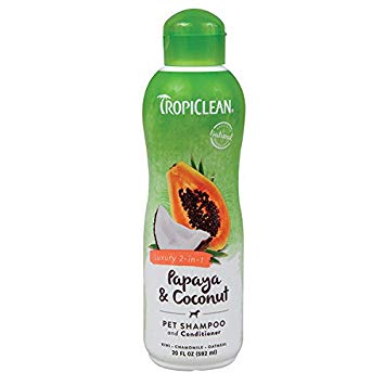 SHAMPOO Cleansing Berry & Coconut 20 OZ