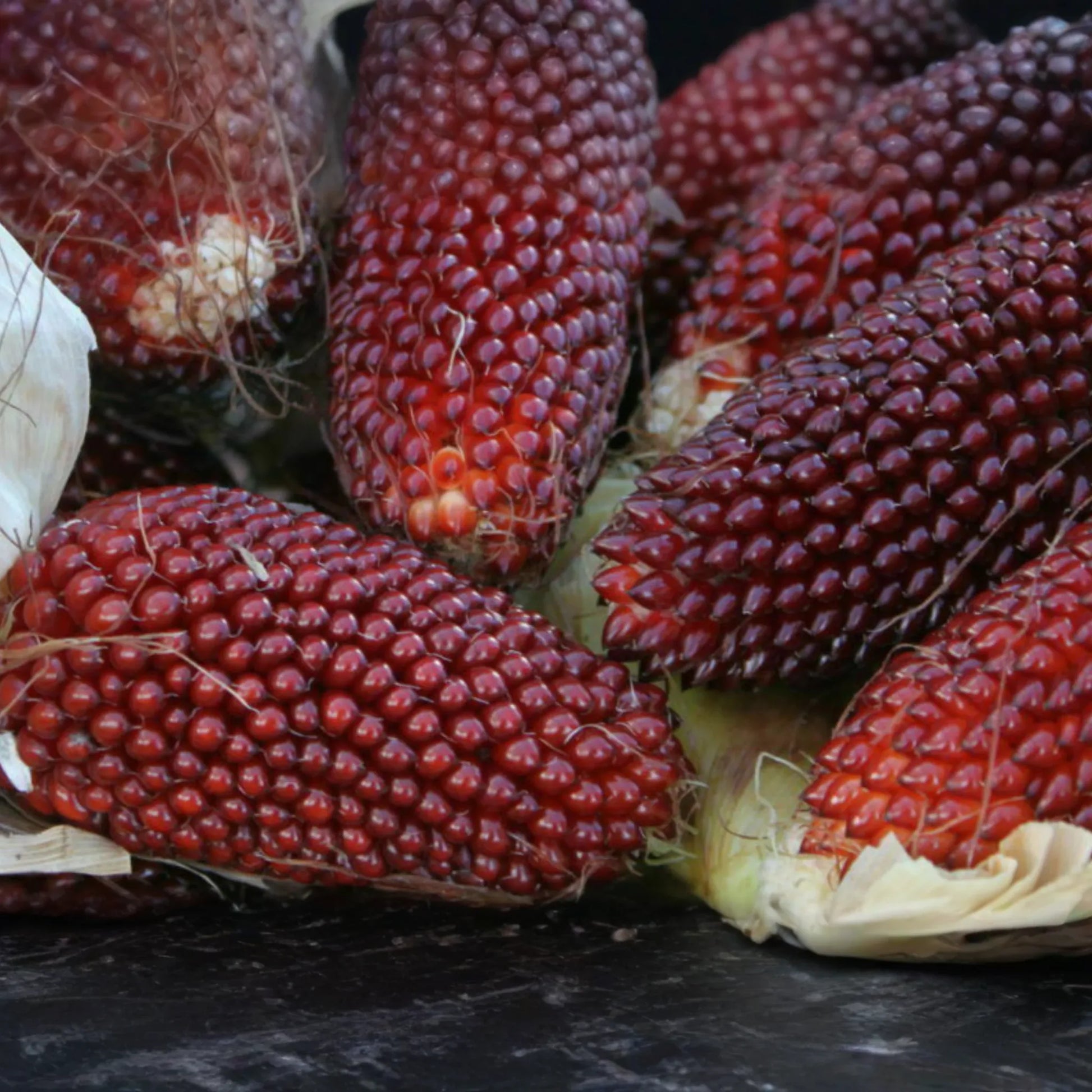 20 PCS Strawberry Fruit Corn Seeds - Rare Beautiful Seeds for Outdoor Garden - Zea mays (E81)