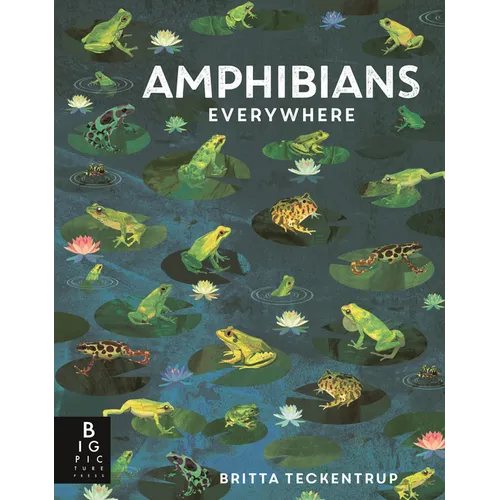 Amphibians Everywhere: (A Kids' Nonfiction Science and Nature Book about Frogs, Toads, Newts, Salamanders, and Habitats for Ages 6-9)