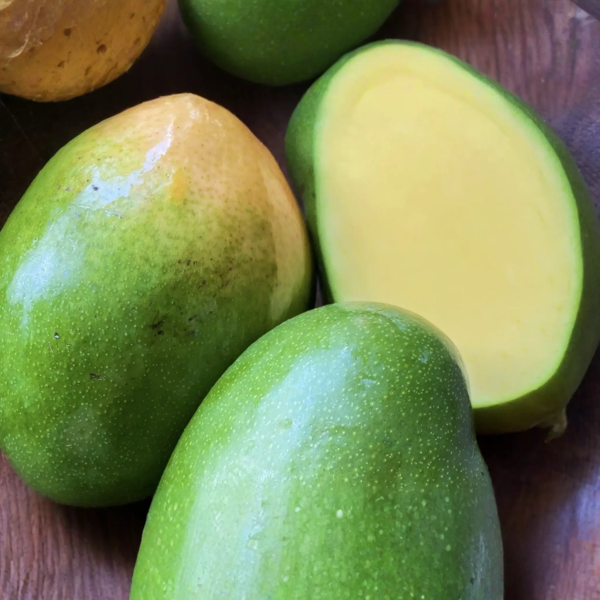 Grafted Mango Keitt Starter Plant Seedling - 3’-4’ Tall Live Tropical Fruit Tree - Sweet, Flavorful Mangoes for Garden or Container
