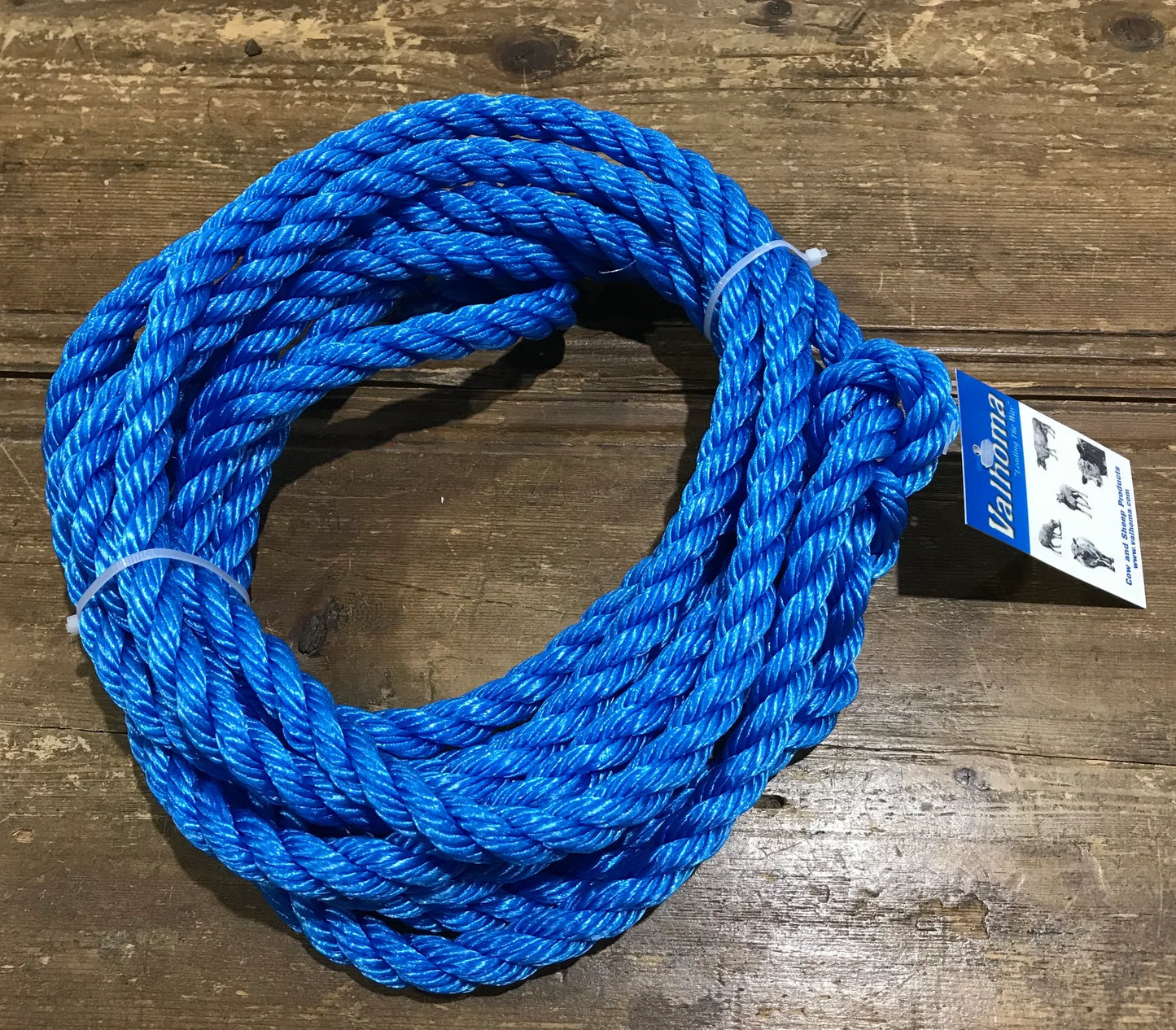 HALTER - SHEEP HOLDING - BLUE