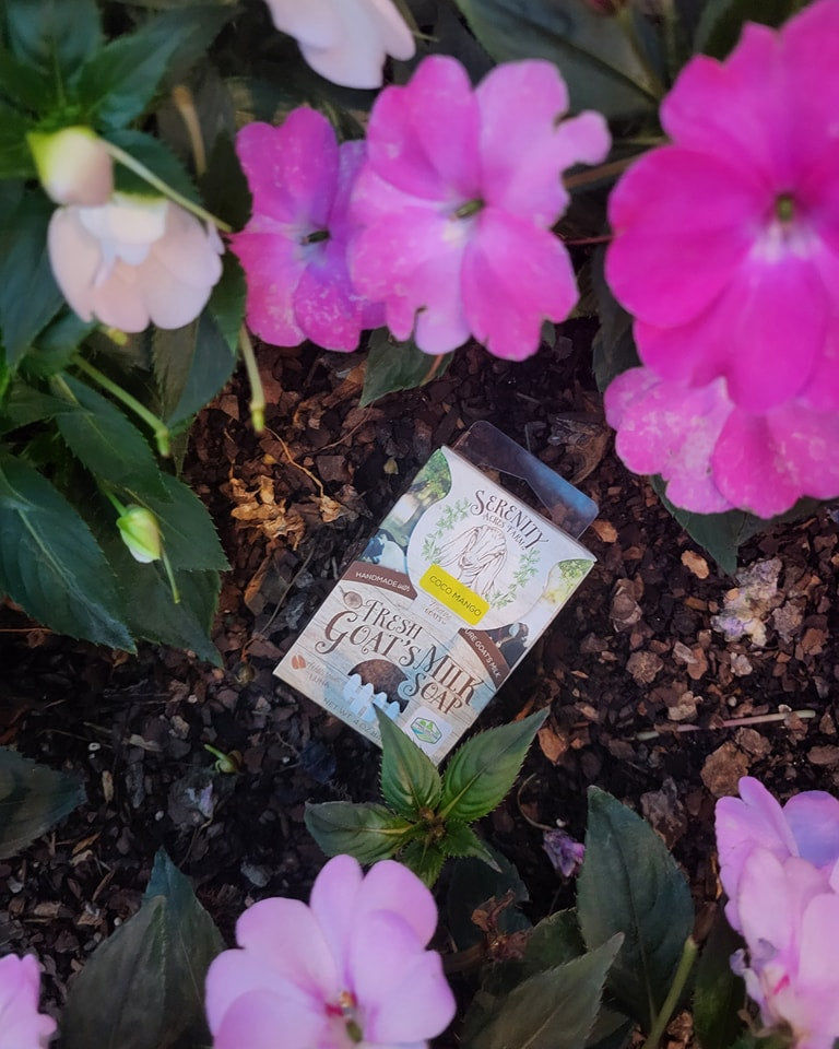 Goat's Milk Soap – Mother Earth