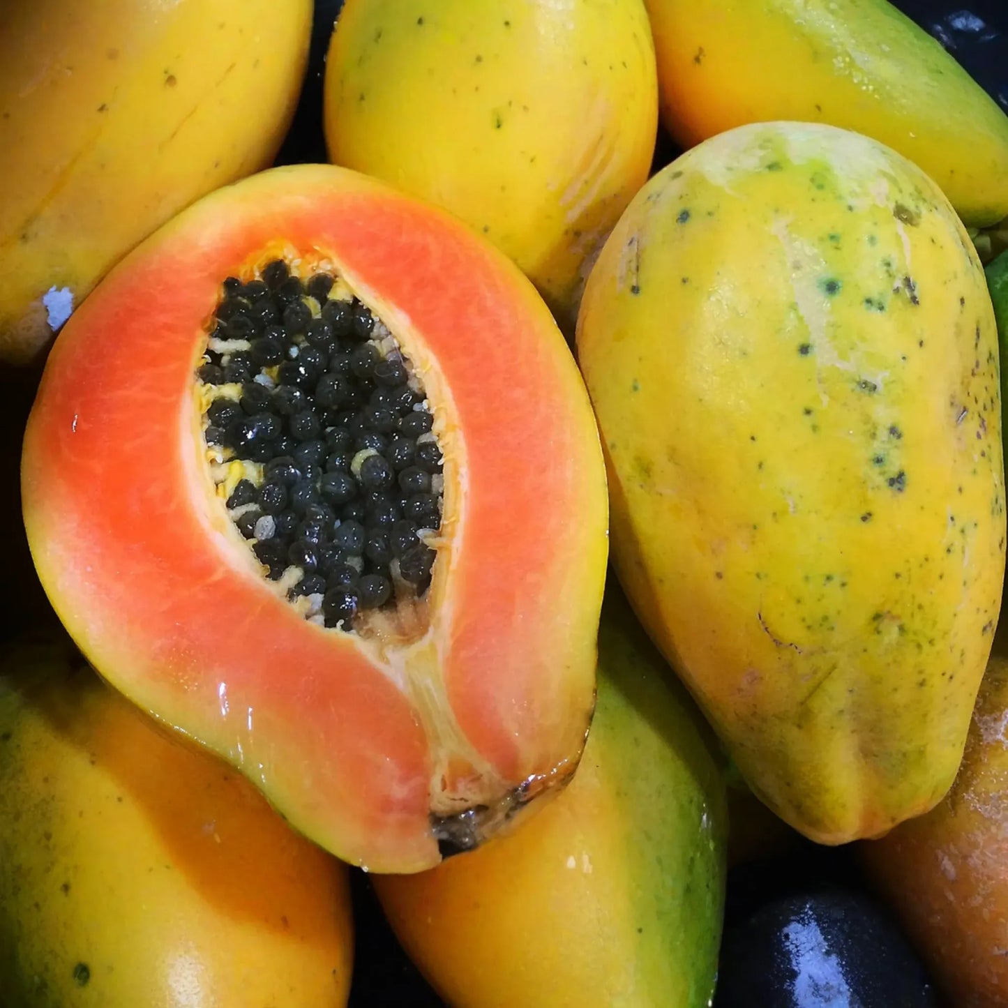 25 Solo Sunset Papaya Seeds - Sweet Red/Pink Fruit, Fast-Growing, Bears in 9 Months, Tropical & Container Friendly, !