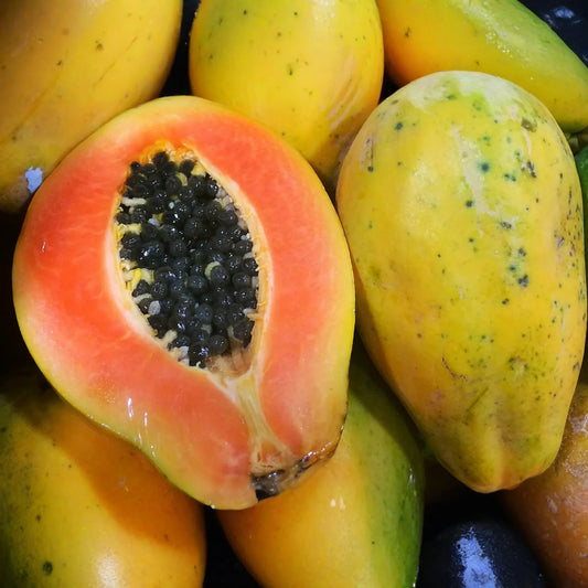 25 Solo Sunset Papaya Seeds - Sweet Red/Pink Fruit, Fast-Growing, Bears in 9 Months, Tropical & Container Friendly, !