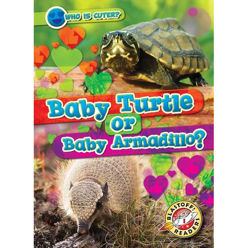 Baby Turtle or Baby Armadillo?