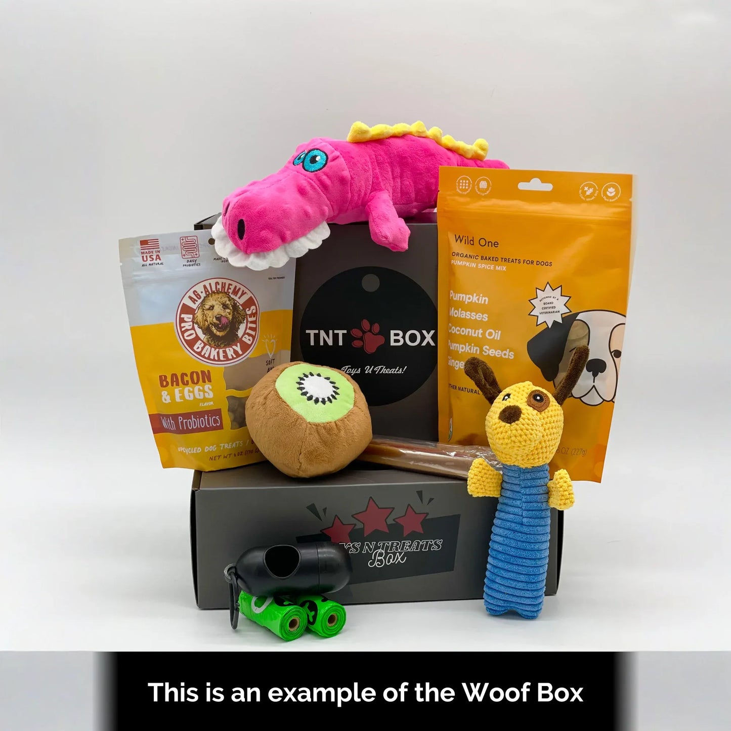 Toys N Treats Gift Boxes