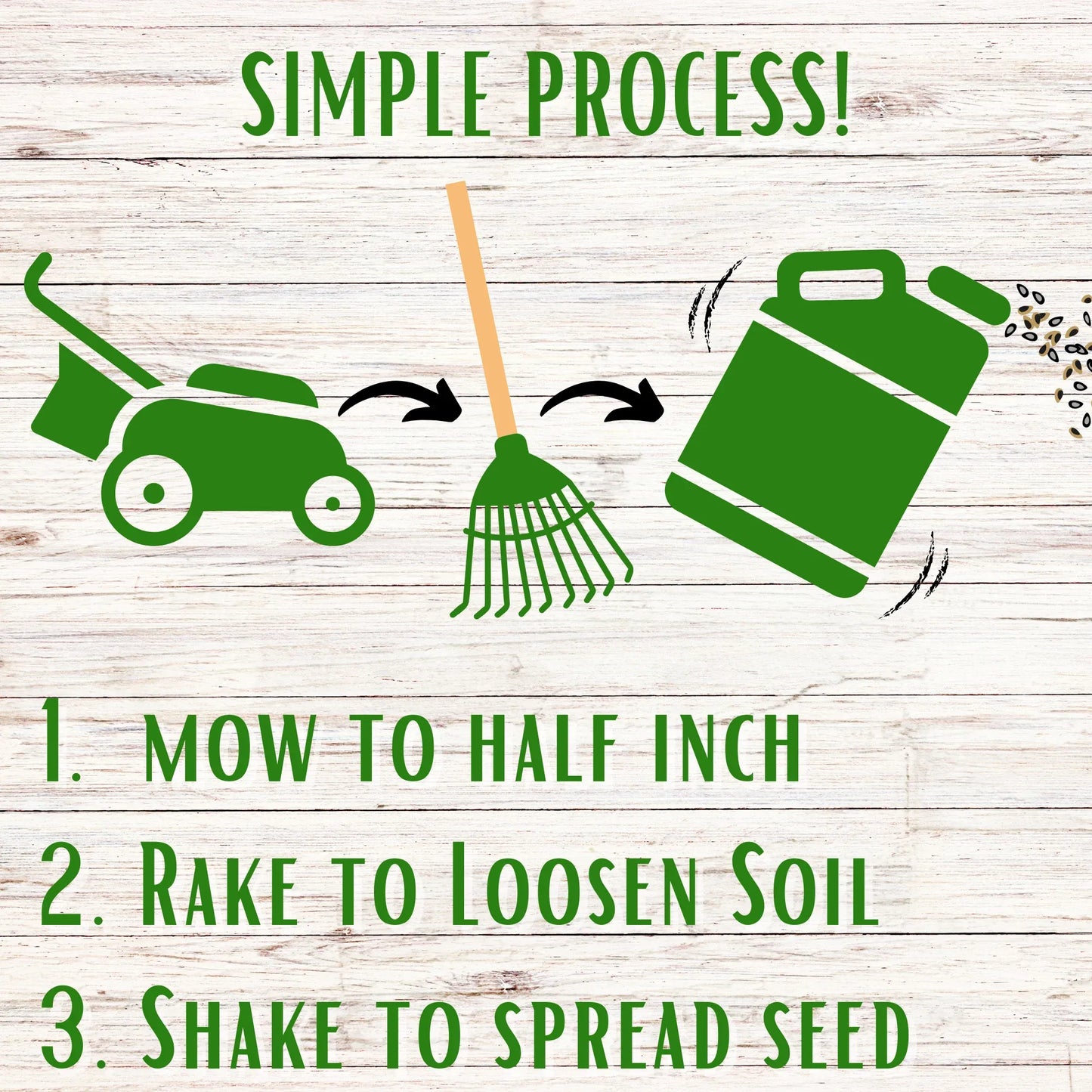Thick Bee Lawn Seed Kit