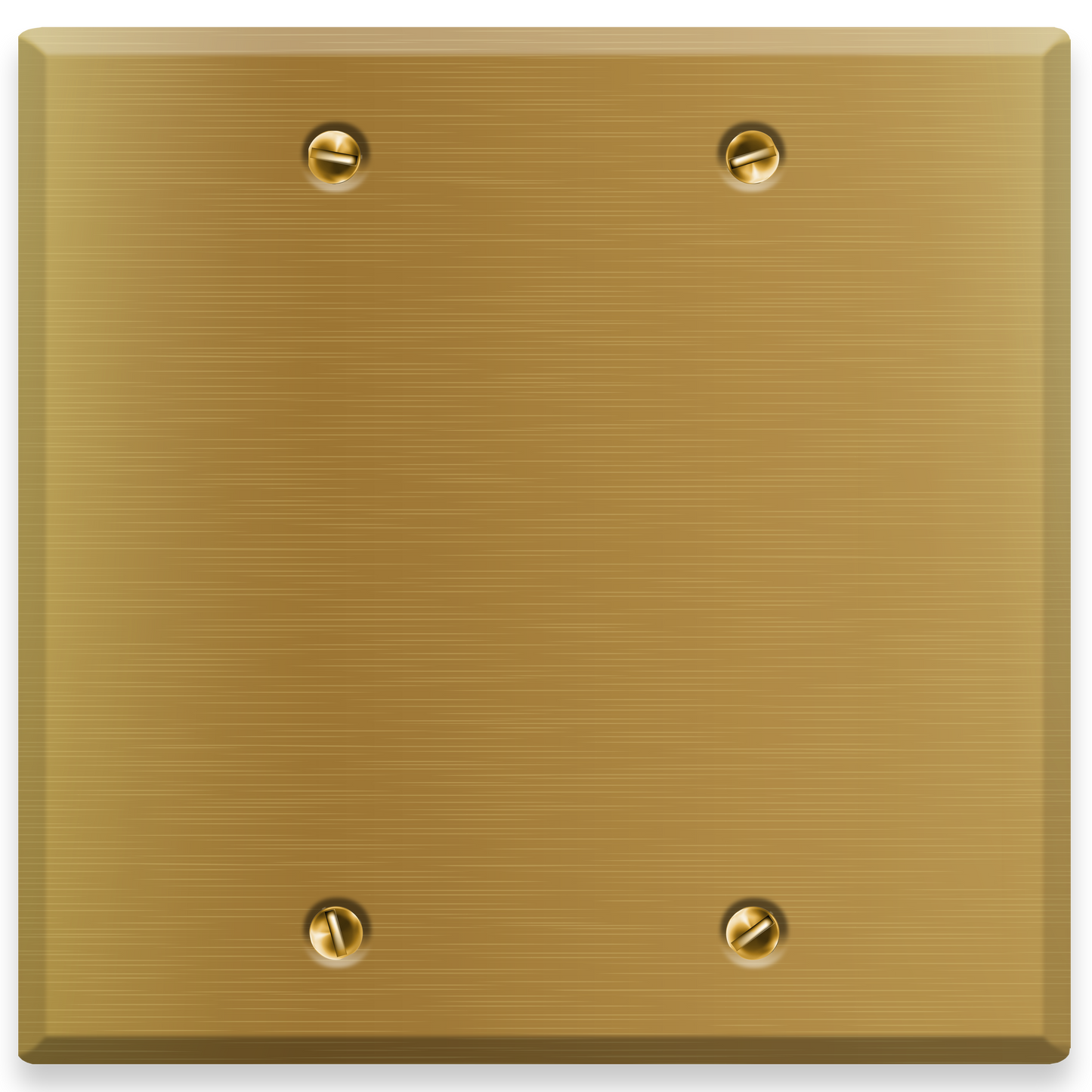 2-Gang Satin Brass Blank Wall Plate