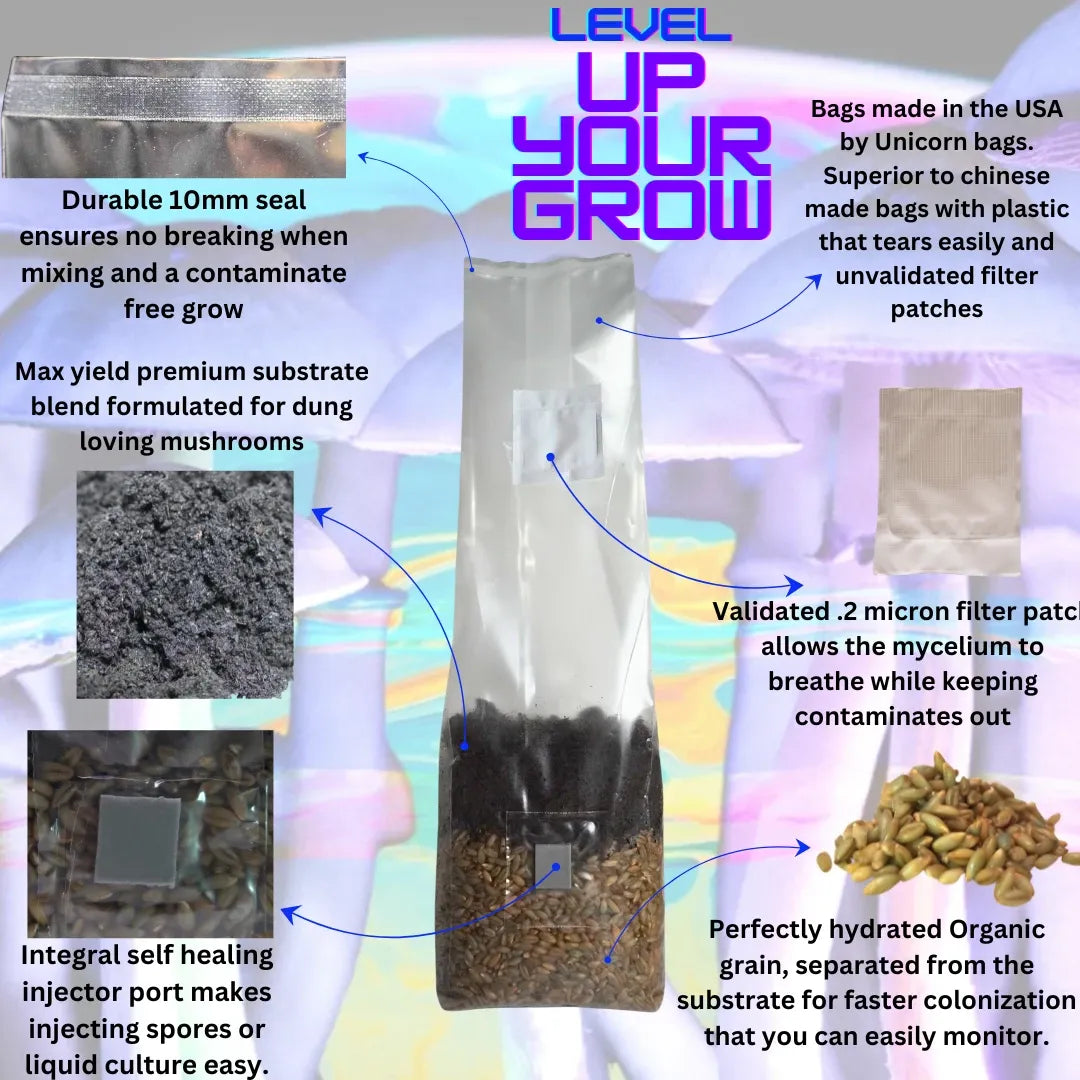 All In One Mushroom Grow Bag Bundle 18 Count
