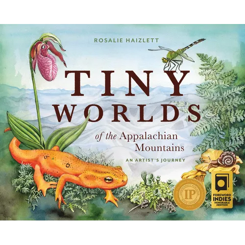 Tiny Worlds of the Appalachian Mountains: An Artist's Journey