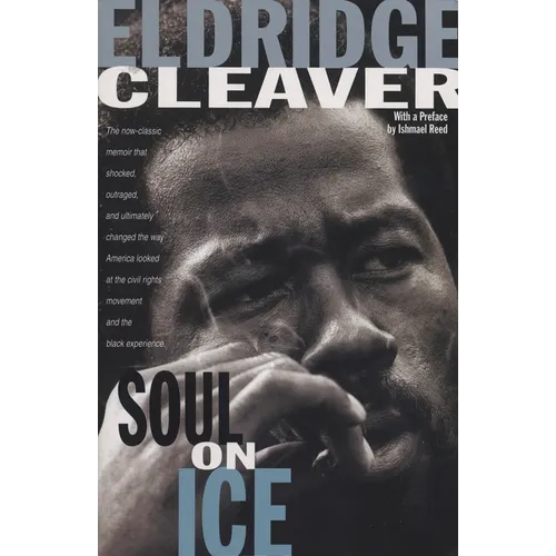 Soul on Ice