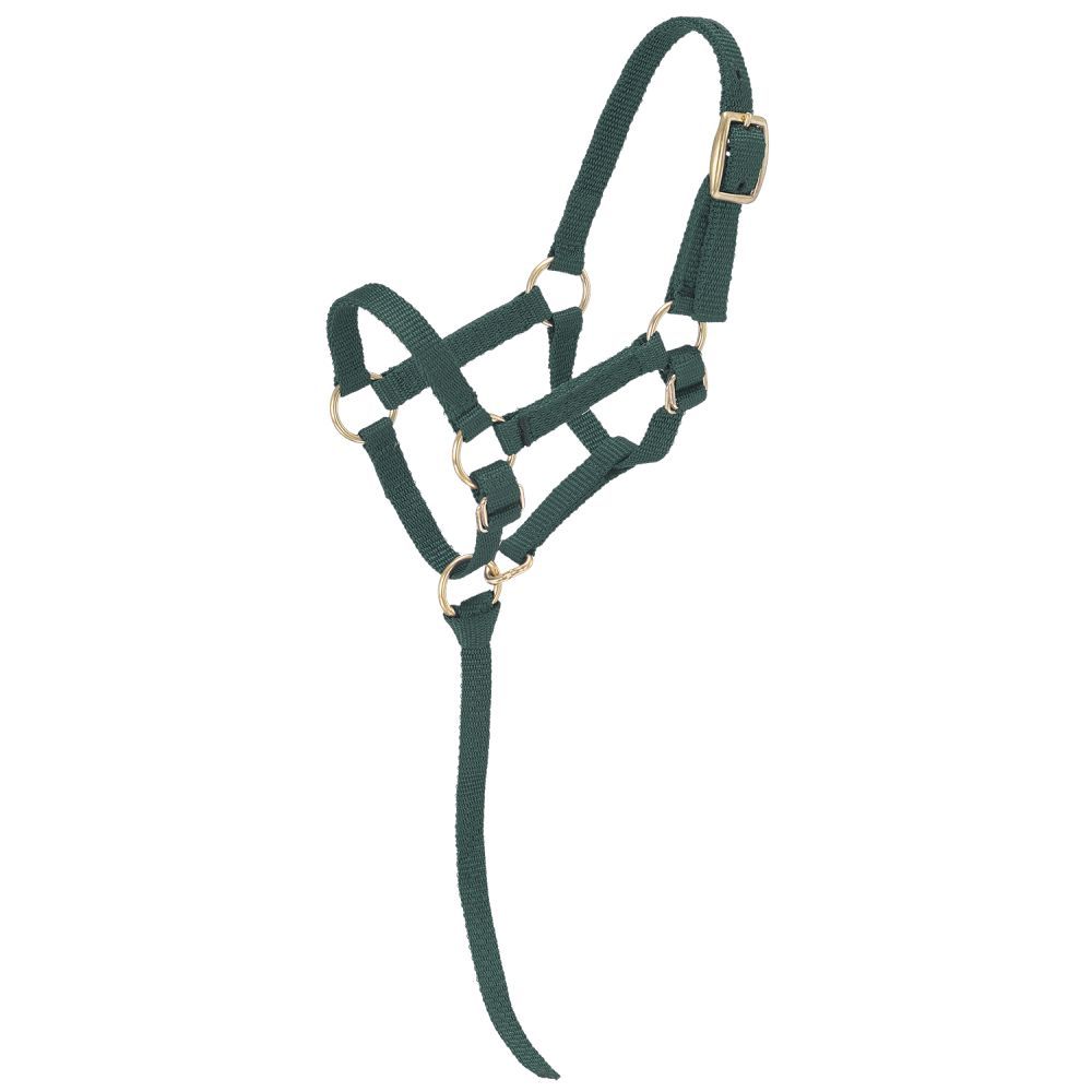 TOUGH1 MINIATURE NYLON HALTER - LARGE - HUNTER GREEN