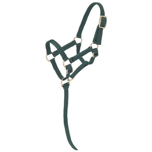 TOUGH1 MINIATURE NYLON HALTER - LARGE - HUNTER GREEN