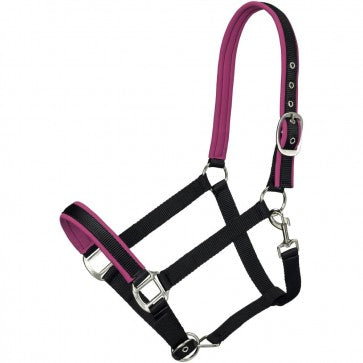 TOUGH1 NEOPRENE PADDED NYLON HALTER - RASPBERRY