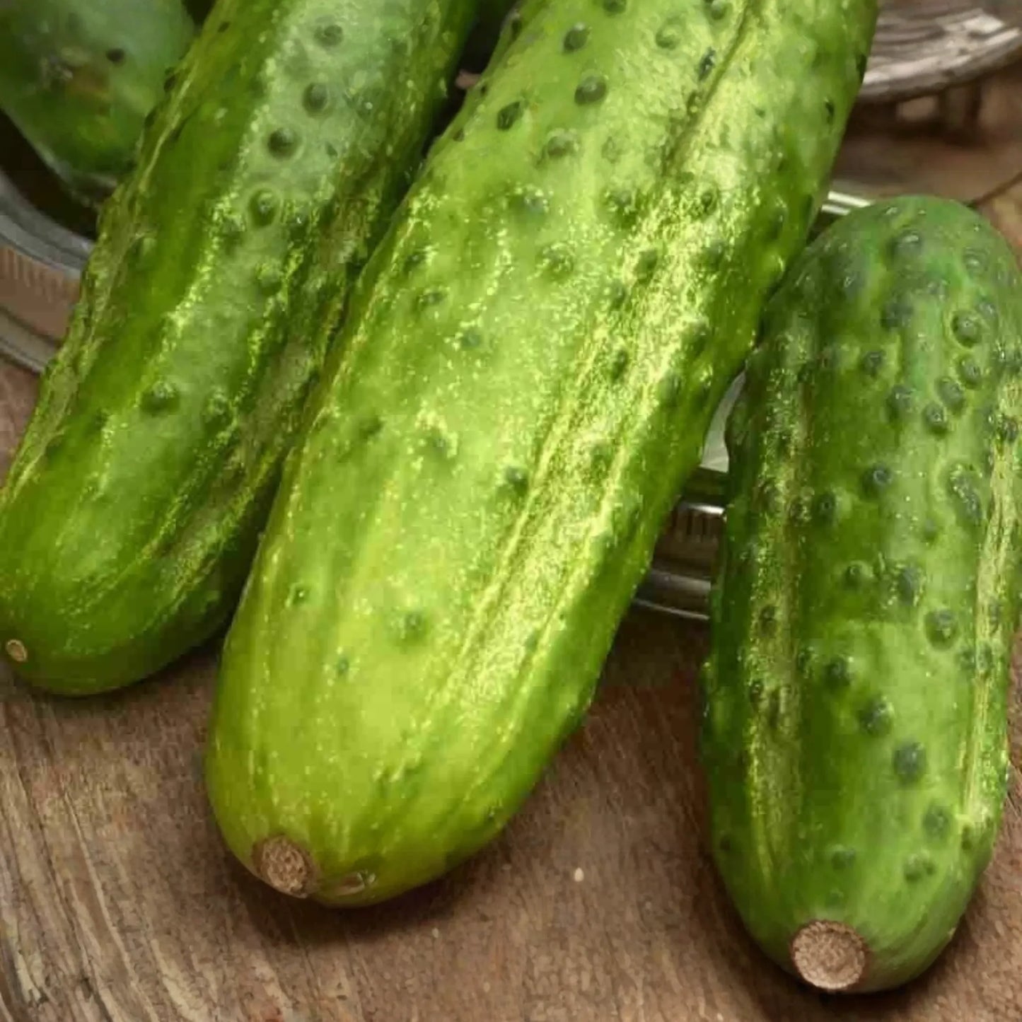 75 Boston Pickling Cucumber Seeds - Heirloom, Non-GMO, Perfect for Pickling, USA Seller