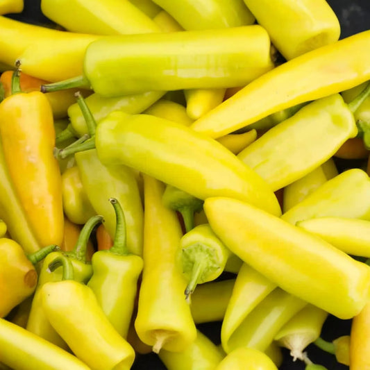 200 Hungarian Wax Hot Pepper Seeds - Heirloom, Non-GMO, Spicy Banana Peppers