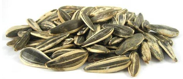 In Shell Israeli Roasted No Salt Sunflower