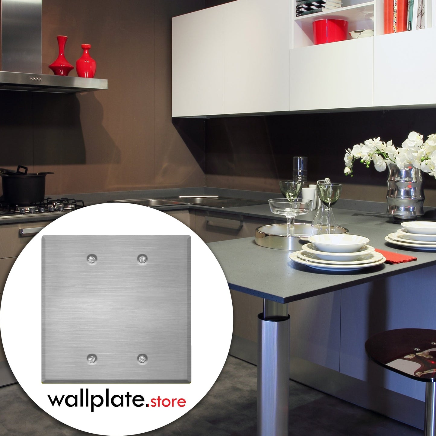2 Gang Stainless Steel Blank Wall Plate