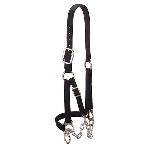 Heavy-Duty Restraint Halter, Large - Blue