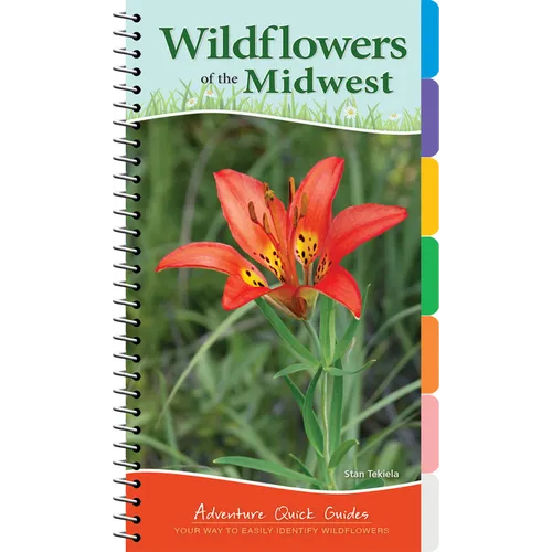 Wildflowers of the Midwest: Your Way to Easily Identify Wildflowers