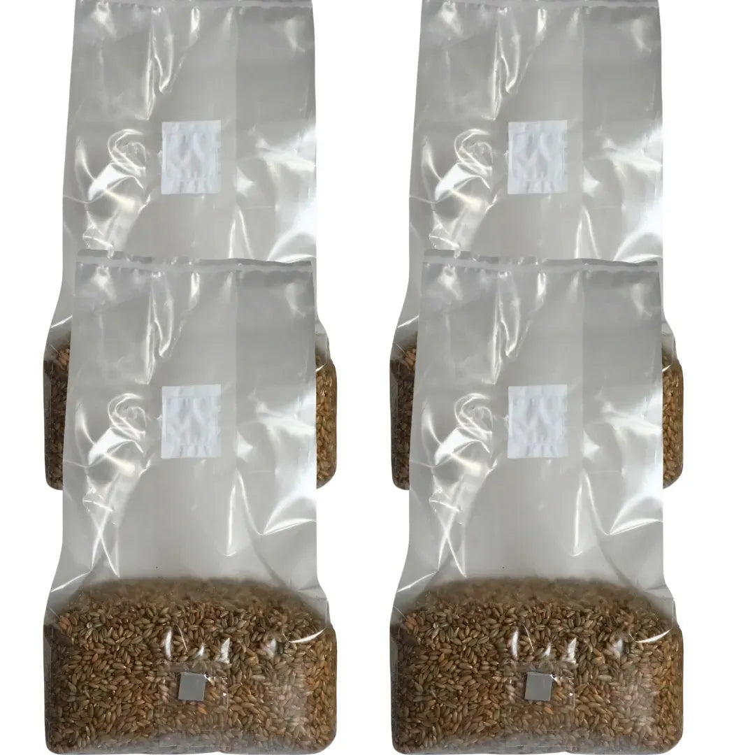 Sterile Mushroom Grain Spawn Bag (5 Pound) - 🆕 New Arrivals, All Products, Sellers in Michigan, Products from Mushroom Spawn Store, 🏡 Home + Garden, ⚙️ Business + Industrial, 🧑‍🌾 Agriculture - Little Red General Store