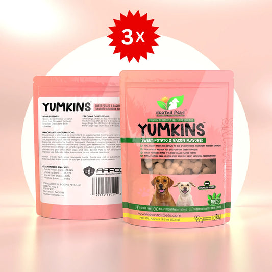 𝗦𝗨𝗕𝗦𝗖𝗥𝗜𝗣𝗧𝗜𝗢𝗡 • Yumkins™: 3 x (3.6oz) Sweet Potato & Bacon Flavored Bones - Bundle