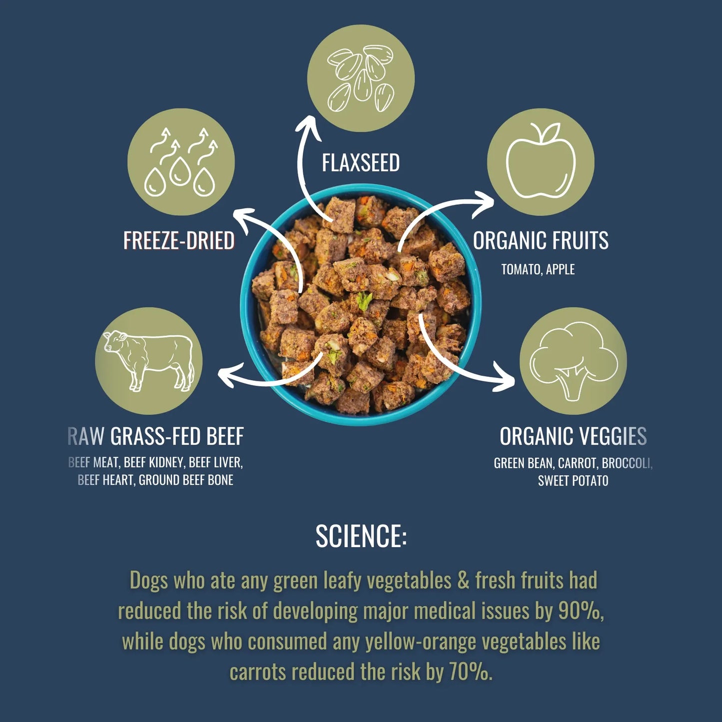PREMIUM RAW FREEZE DRIED DOG FOOD