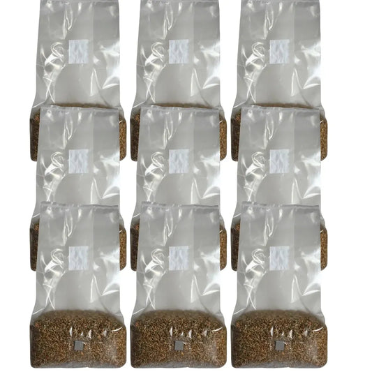 Sterile Mushroom Grain Spawn Bag (5 Pound)