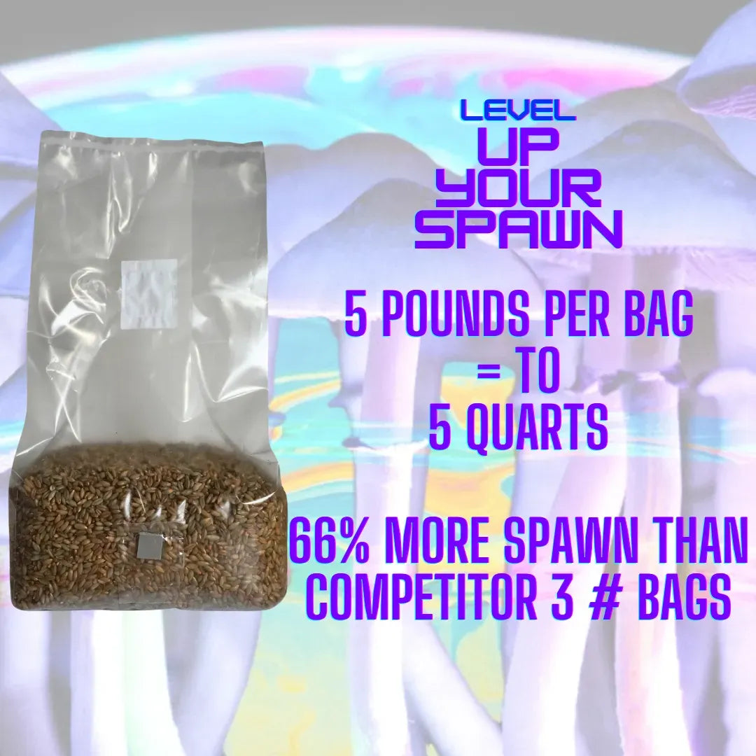 Sterile Mushroom Grain Spawn Bag (5 Pound)