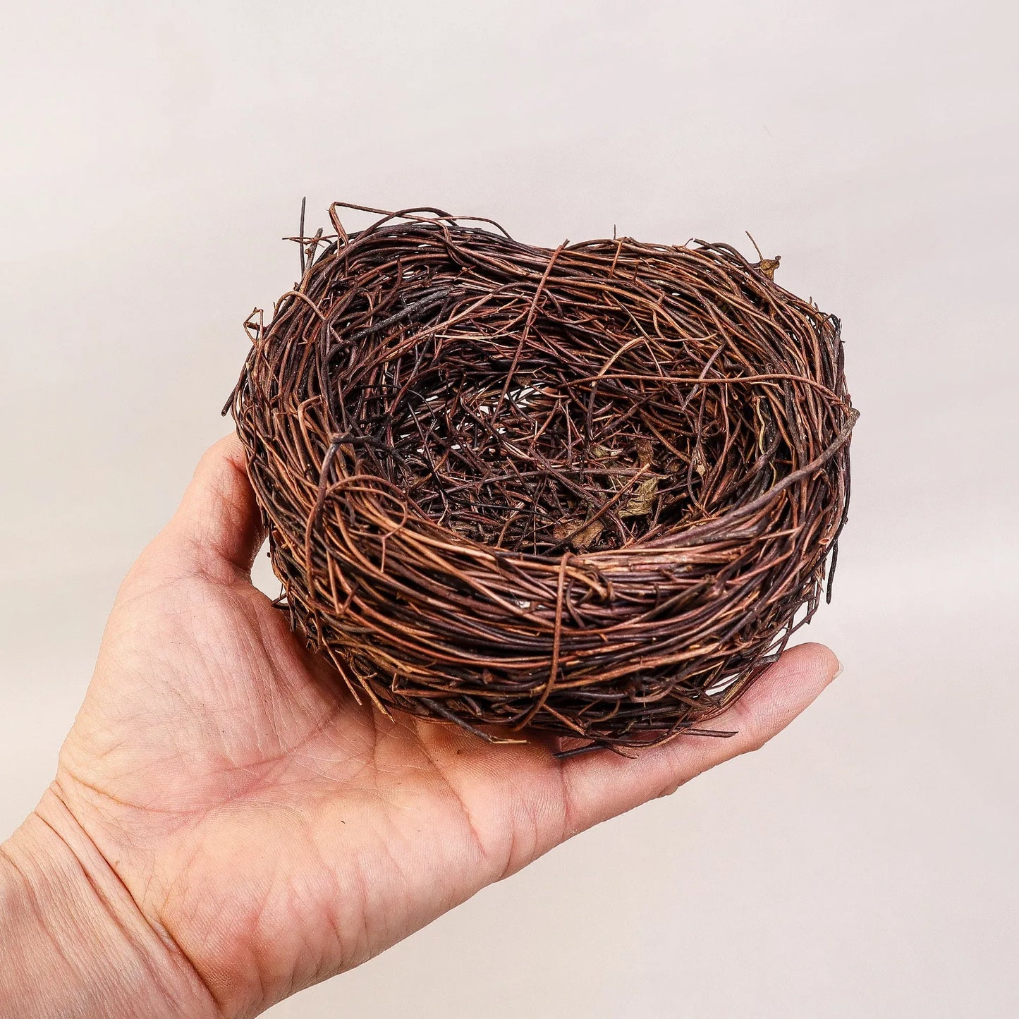 Nest