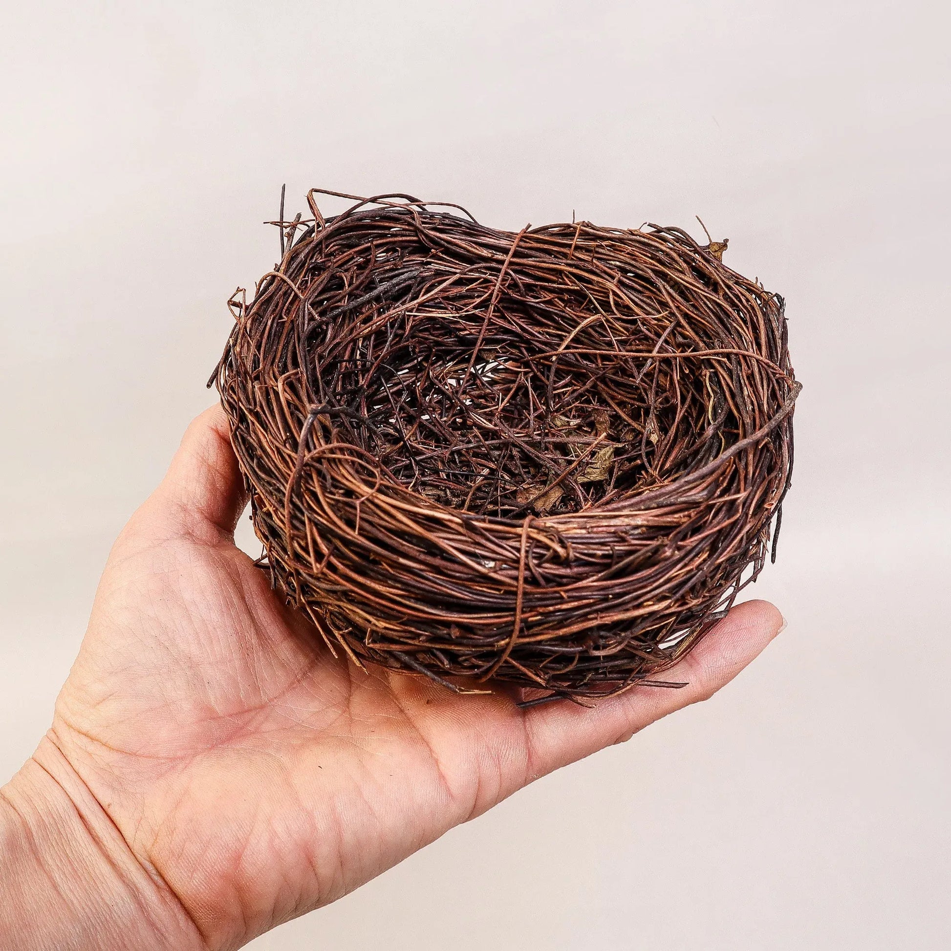 Nest