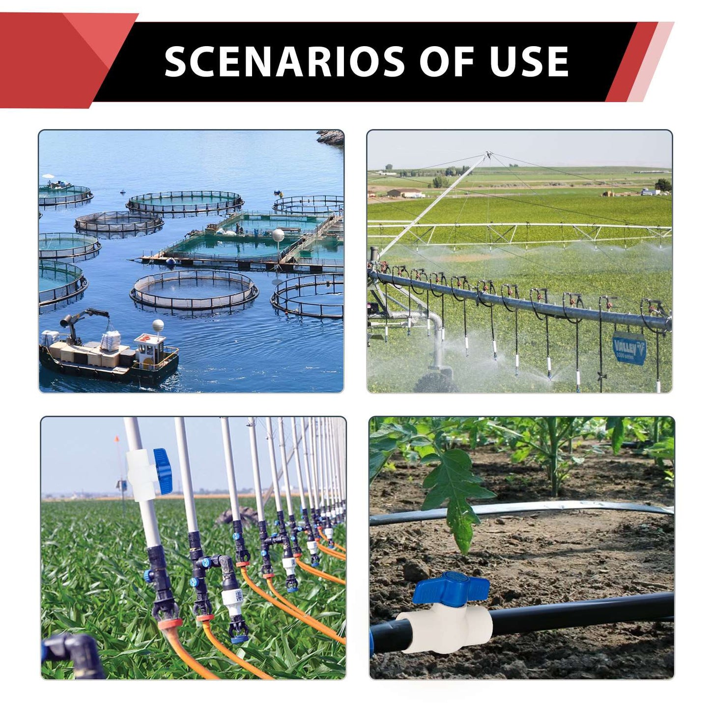 1-1/2" PVC Ball Valve, FPT Threaded, Sch. 40