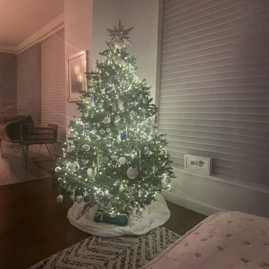 Real Christmas Trees Delivered 5 Foot Premium Fraser Fir