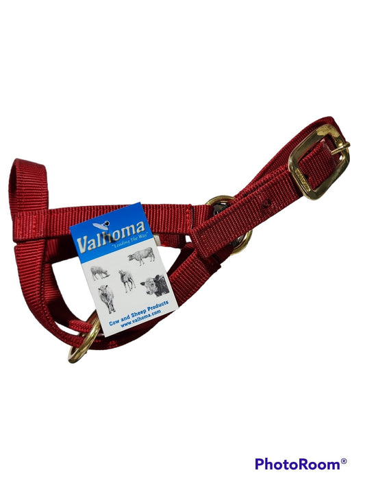 Valhoma: Halter - Goat Kid - Red